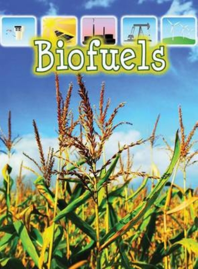 Picture of Biofuels