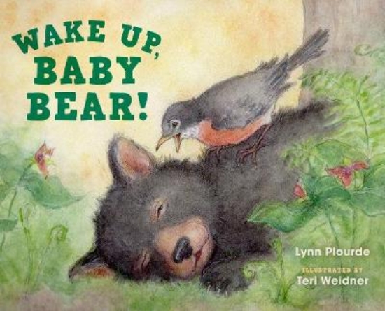 Picture of Wake Up, Baby Bear!