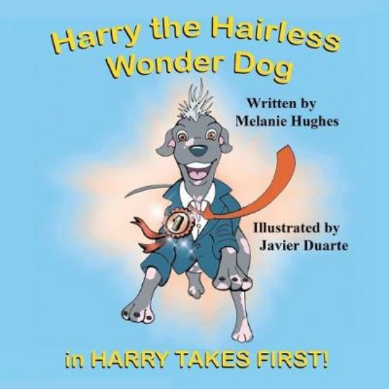 Picture of Harry the Hairless Wonder Dog in HARRY TAKES FIRST