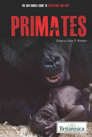 Picture of Primates