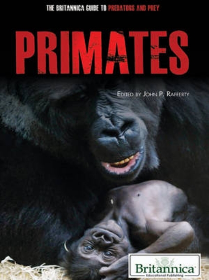 Picture of Primates