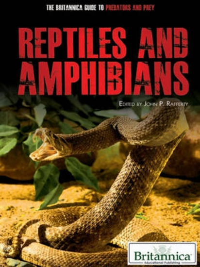 Picture of Reptiles and Amphibians