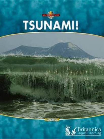 Picture of Tsunami!