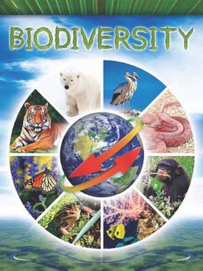 Picture of Biodiversity
