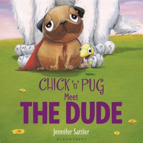Picture of Chick 'n' Pug Meet the Dude
