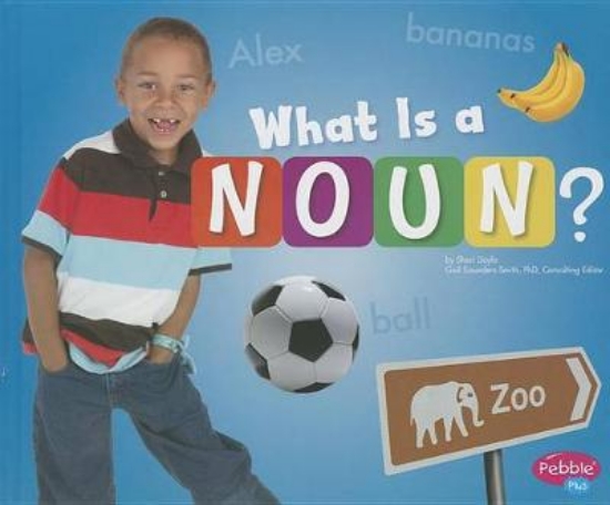 Picture of What Is a Noun?