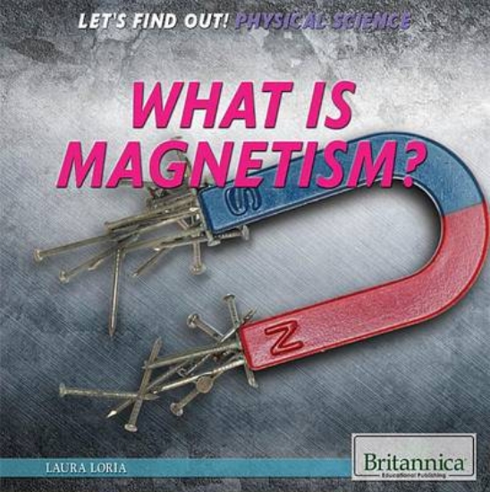 Picture of What Is Magnetism?