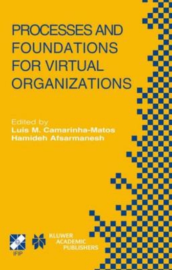 Picture of Processes and Foundations for Virtual Organization