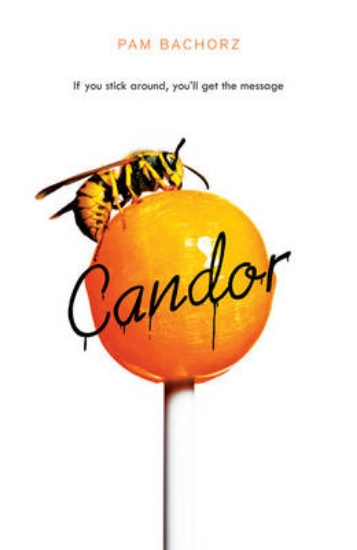 Picture of Candor