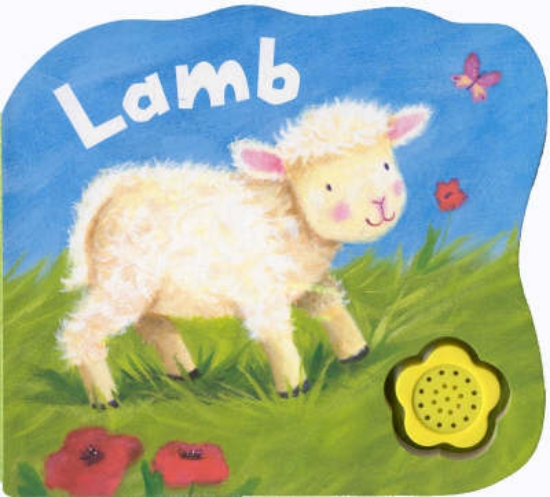 Picture of Lamb