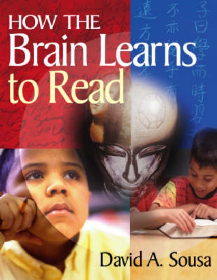 Picture of How the Brain Learns to Read