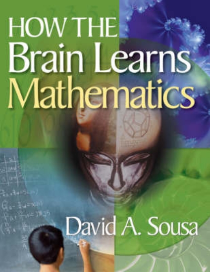 Picture of How the Brain Learns Mathematics