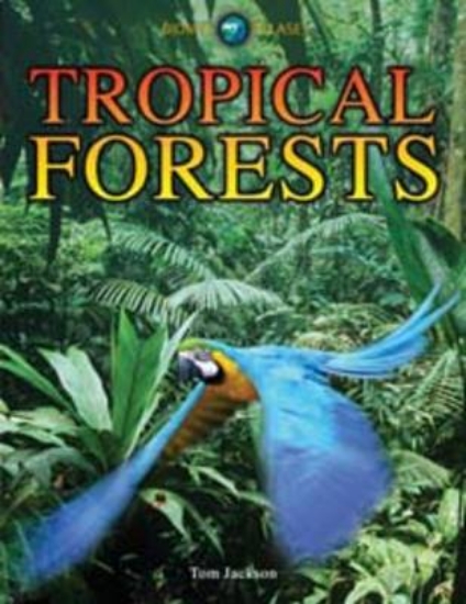 Picture of Tropical Forests