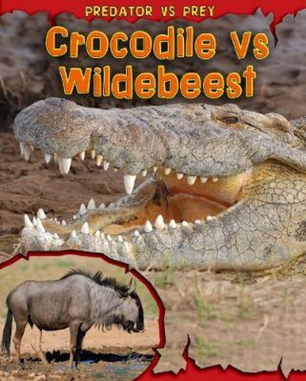 Picture of Crocodile vs Wildebeest