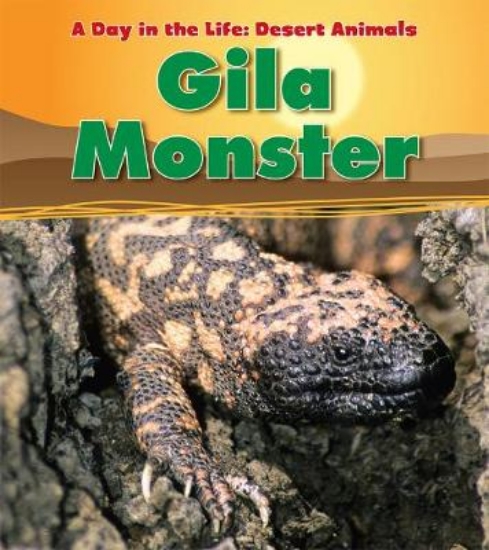 Picture of Gila Monster