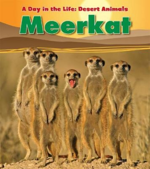 Picture of Meerkat