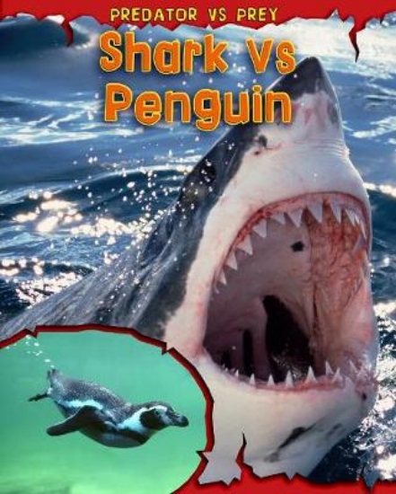 Picture of Shark vs Penguin