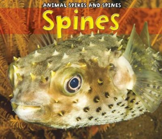 Picture of Spines