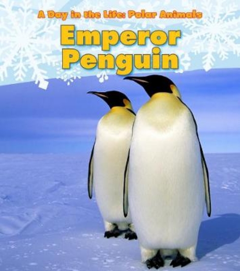 Picture of Emperor Penguin