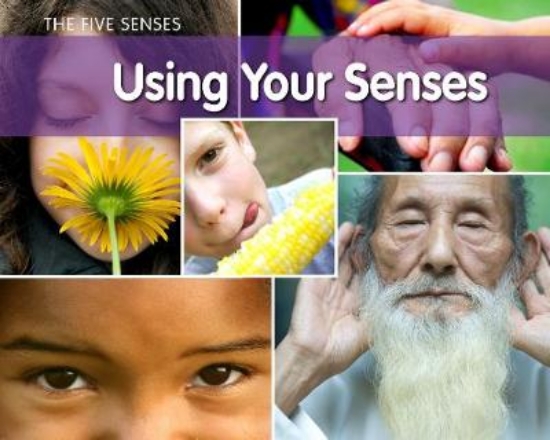 Picture of Using Your Senses
