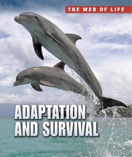 Picture of Adaptation and Survival