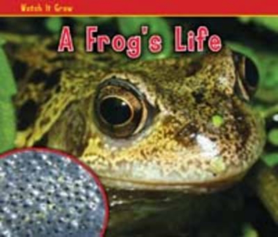 Picture of Acorn Grow Pack A: Humans &amp; other Animals