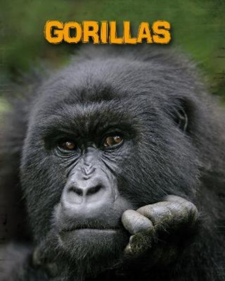 Picture of Gorillas