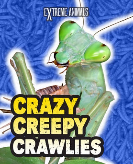 Picture of Crazy Creepy Crawlies