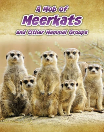 Picture of A Mob of Meerkats