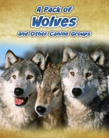 Picture of A Pack of Wolves