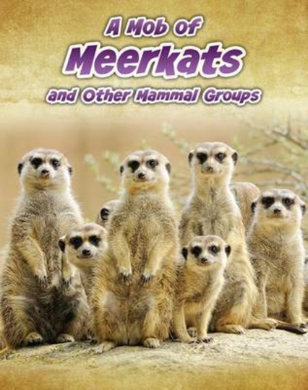 Picture of A Mob of Meerkats