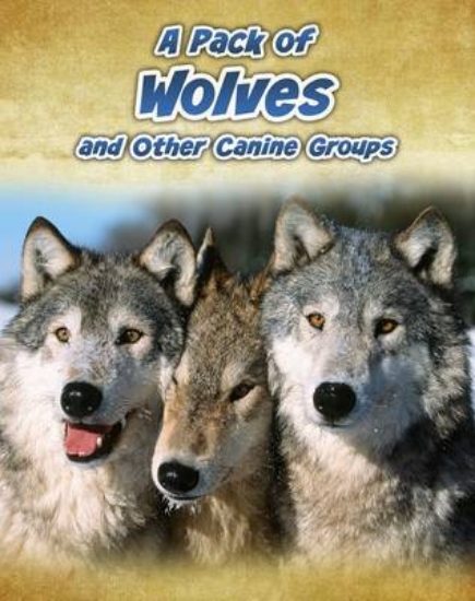 Picture of A Pack of Wolves