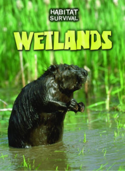 Picture of Wetlands