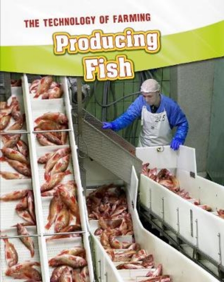 Picture of Producing Fish
