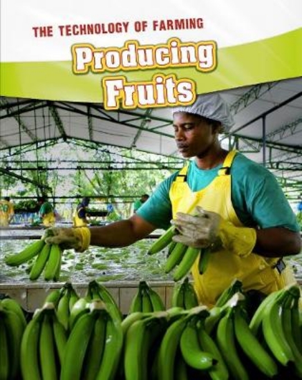 Picture of Producing Fruits