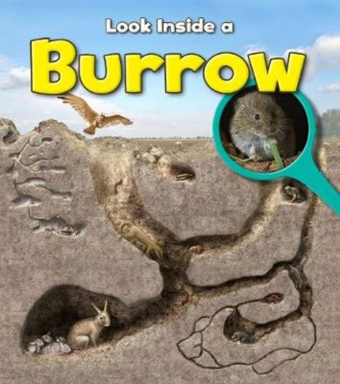 Picture of Burrow