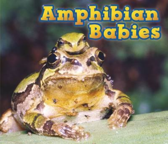 Picture of Amphibian Babies
