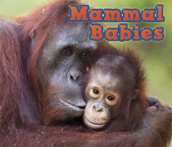 Picture of Mammal Babies