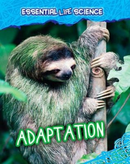 Picture of Adaptation
