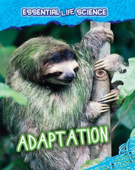 Picture of Adaptation
