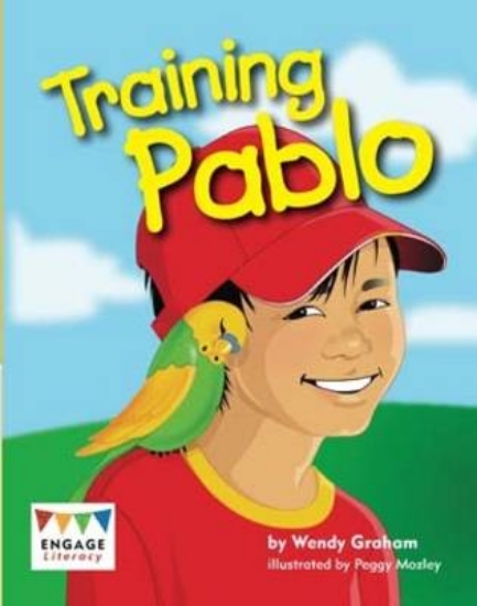 Picture of Training Pablo 6pk
