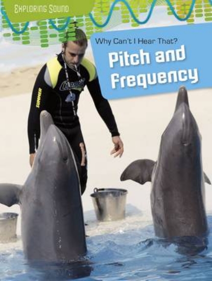 Picture of Why Can't I Hear That?: Pitch and Frequency