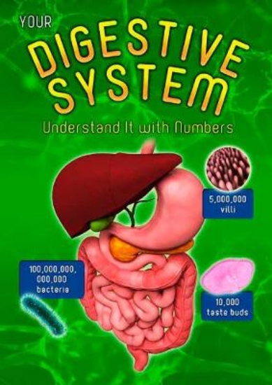 Picture of Your Digestive System