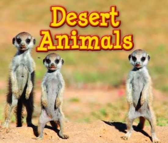 Picture of Desert Animals
