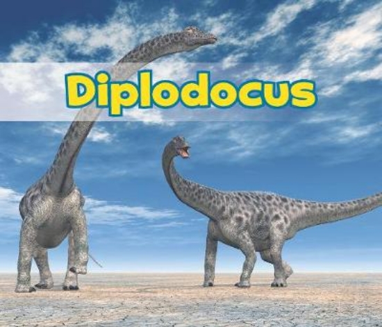 Picture of Diplodocus