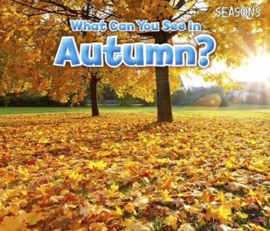 Picture of What Can You See In Autumn?