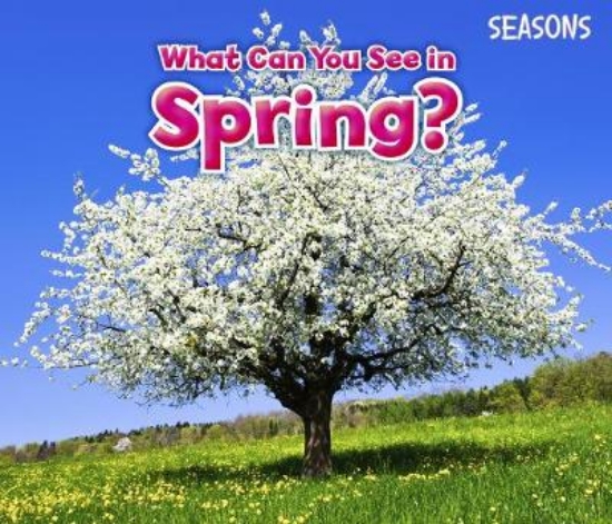 Picture of What Can You See In Spring?