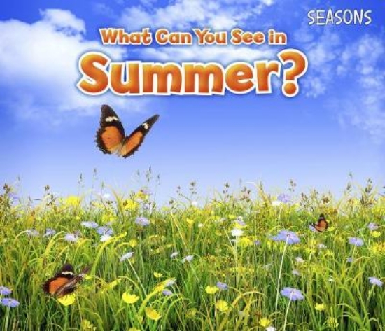Picture of What Can You See In Summer?