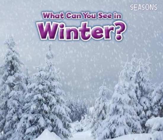 Picture of What Can You See In Winter?