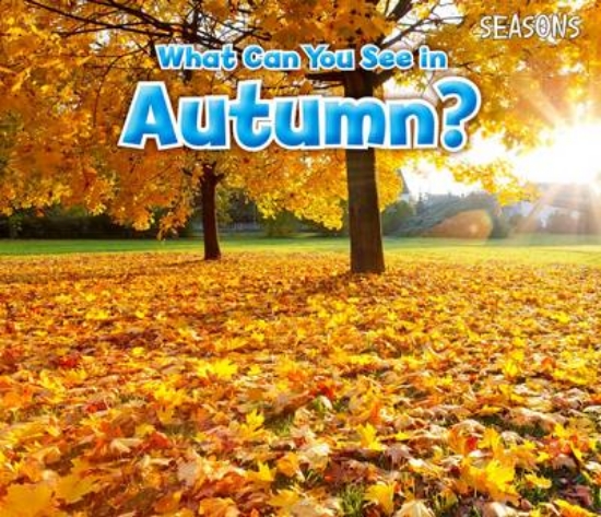 Picture of What Can You See In Autumn?